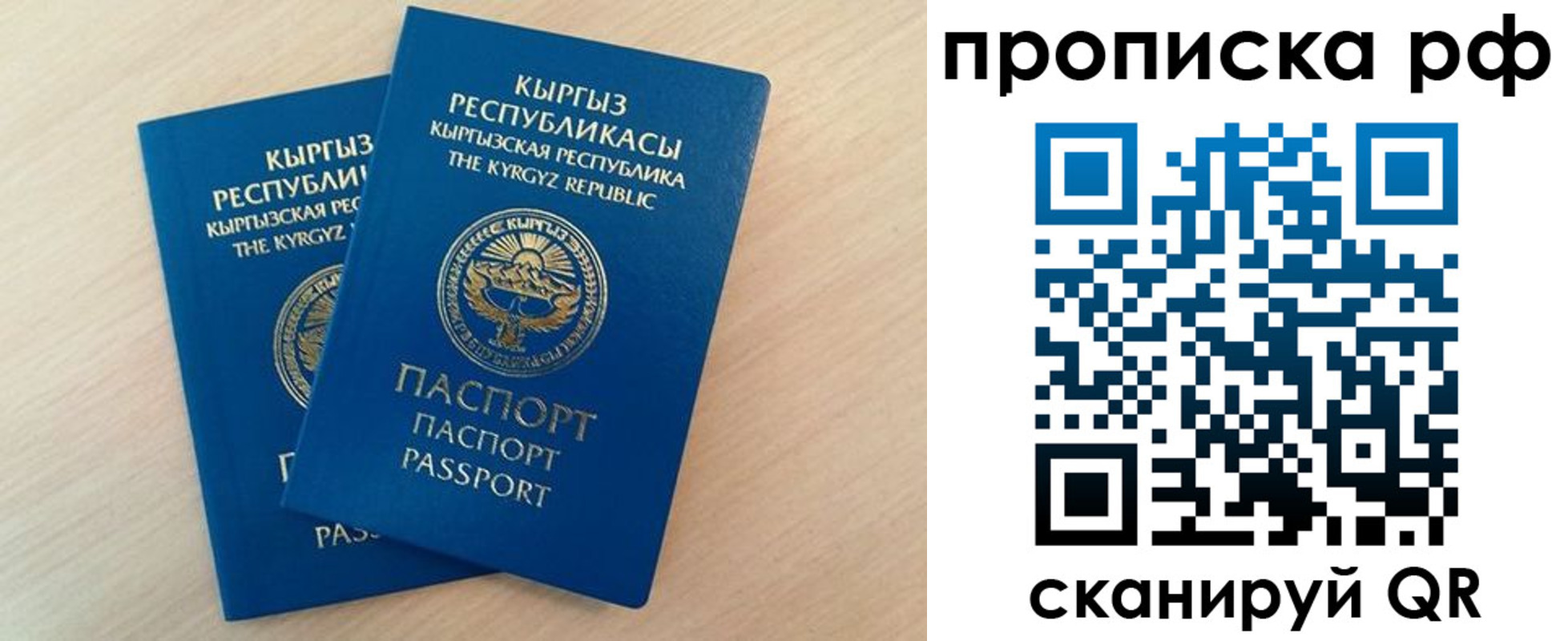 где прописаться в Павловске